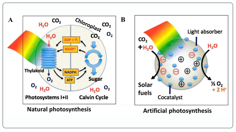 Photocatalytic CO2 Reduction.jpg