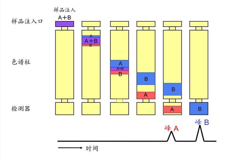 气相色谱仪的分析流程3.png