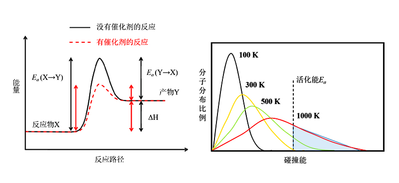 图1 热化学反应原理图（左）和化合物分子碰撞能分布图（右）.jpg