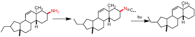 Barton 脱氨基反应