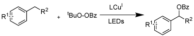 C–H底物的苄基C–H酯化