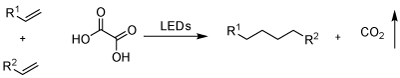 草酸作“桥”，烯烃相连