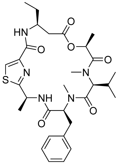 Wolff重排2