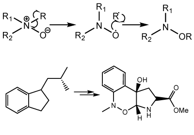 [1,2]-Meisenheimer重排